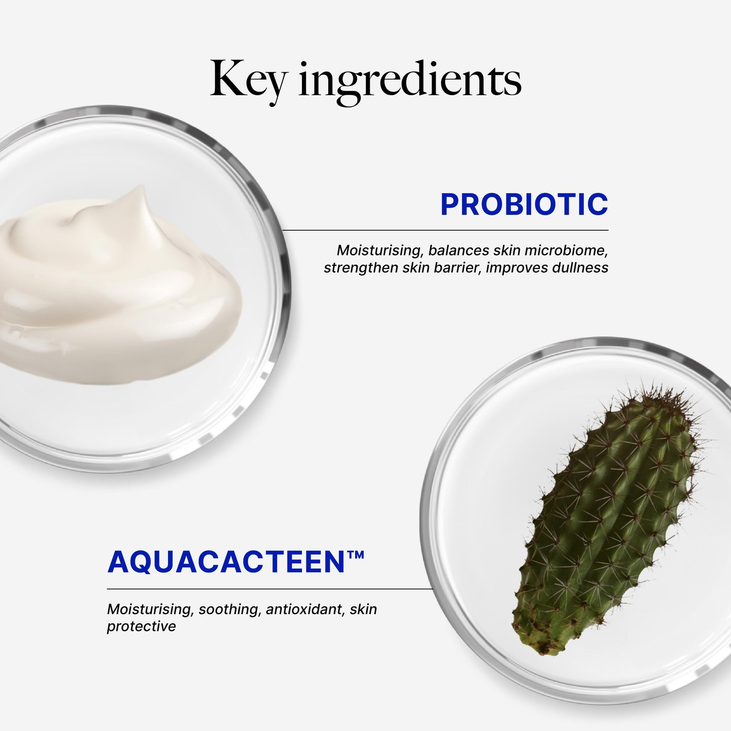 CLEF Probiotic Nourishing Overnight Mask 100g | Deep Nourish | Soft & Smooth Skin | Stronger Barrier
