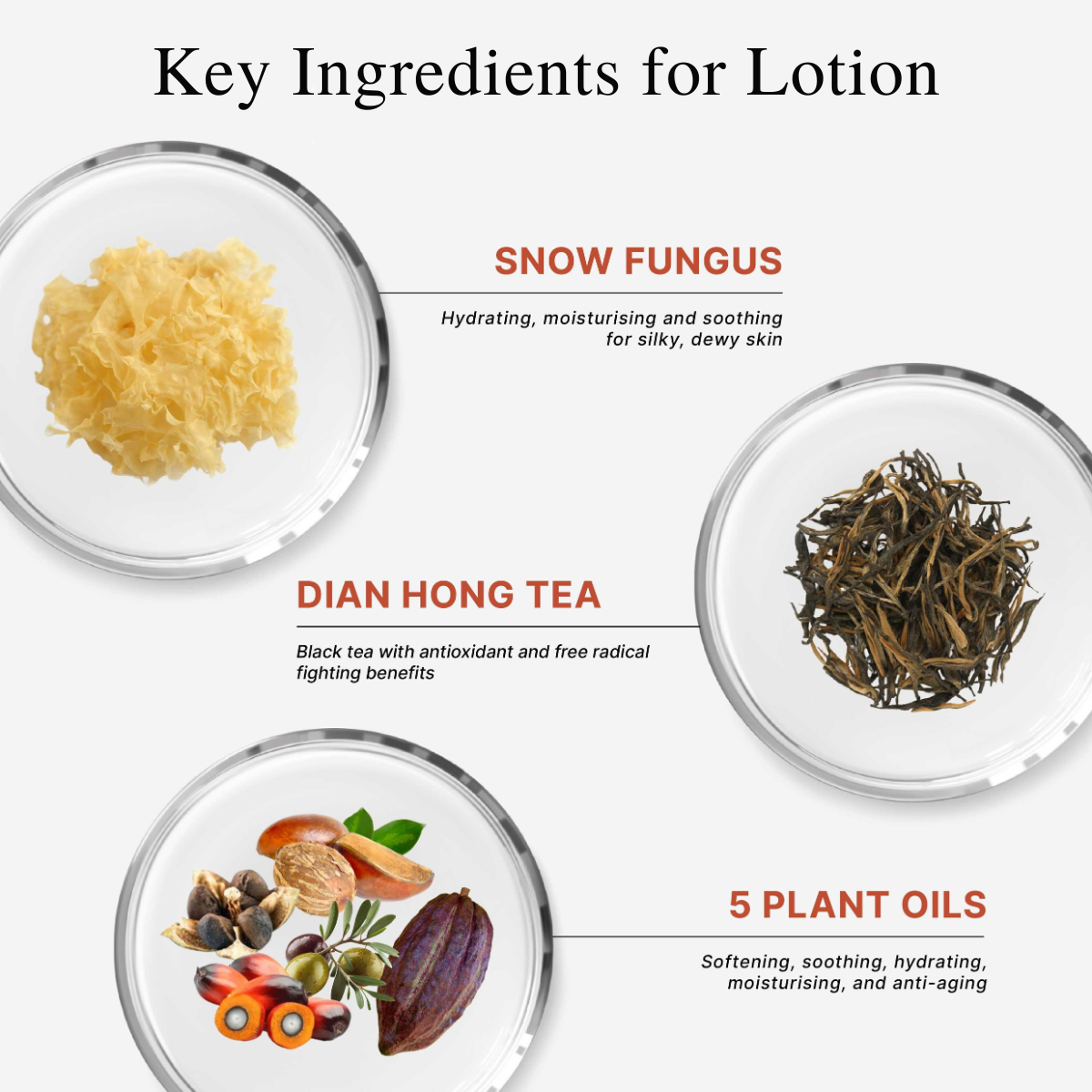 CLEF Tea Core Series Gentle Bath Gel & Daily Nourishing Lotion | Body Wash | Shampoo | Body Lotion