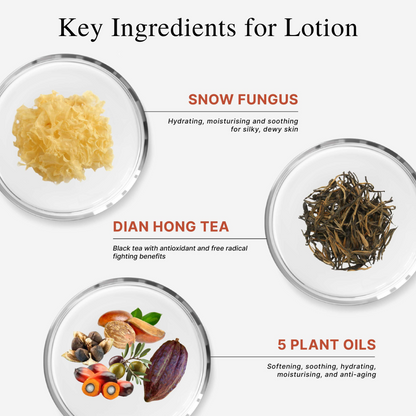 CLEF Tea Core Series Gentle Bath Gel & Daily Nourishing Lotion | Body Wash | Shampoo | Body Lotion