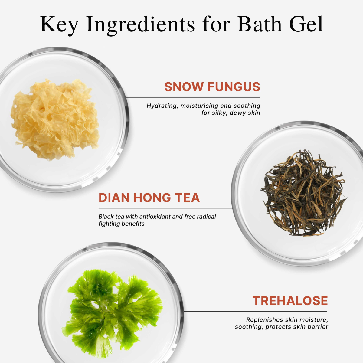 CLEF Tea Core Series Gentle Bath Gel & Daily Nourishing Lotion | Body Wash | Shampoo | Body Lotion