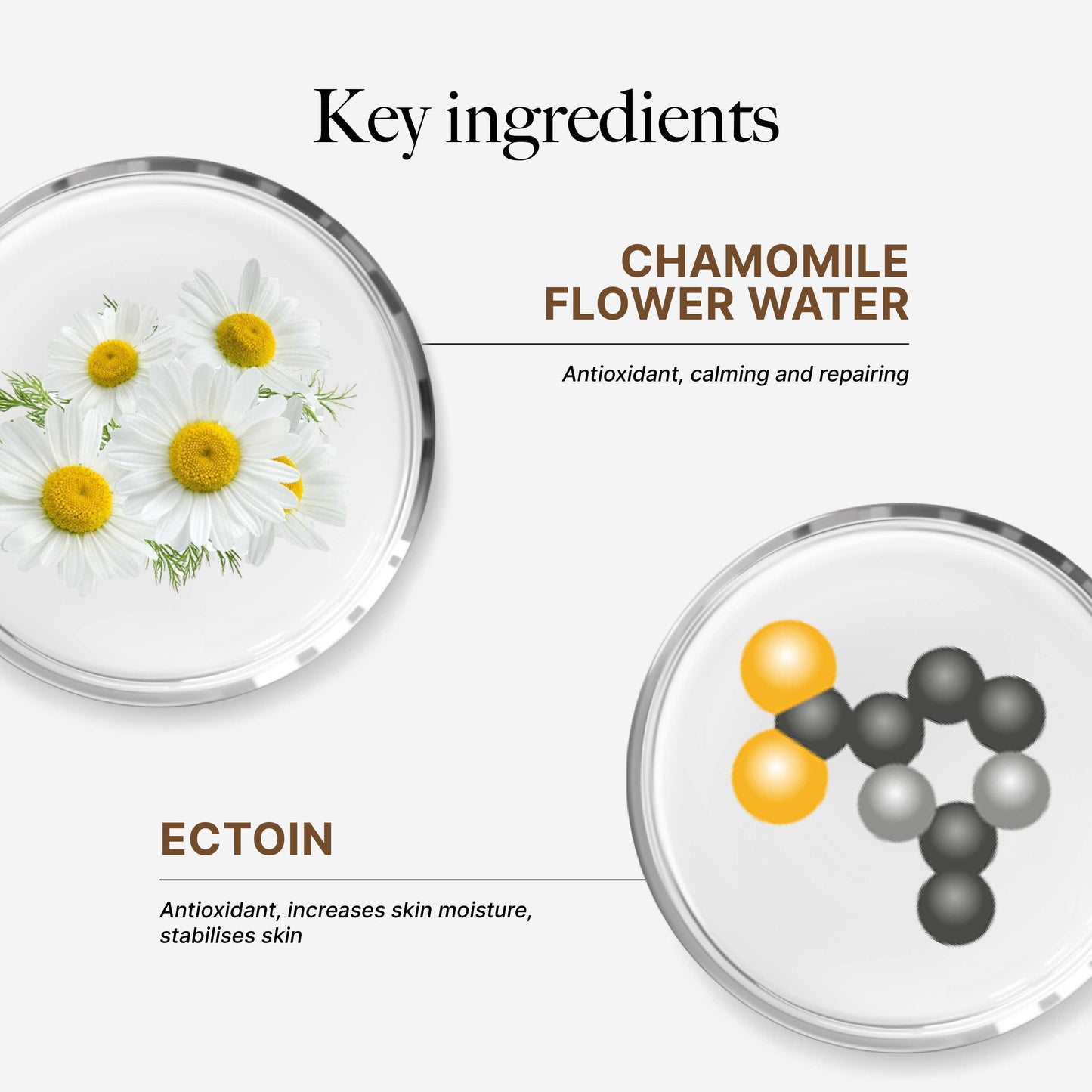 CLEF Anti-Aging Toning Water 120ml | Calms Skin Irritation | Protects & Stabilises | Improves Skin Barrier