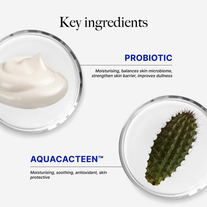 CLEF Probiotic Nourishing Overnight Mask 100g | Deep Nourish | Soft & Smooth Skin | Stronger Barrier