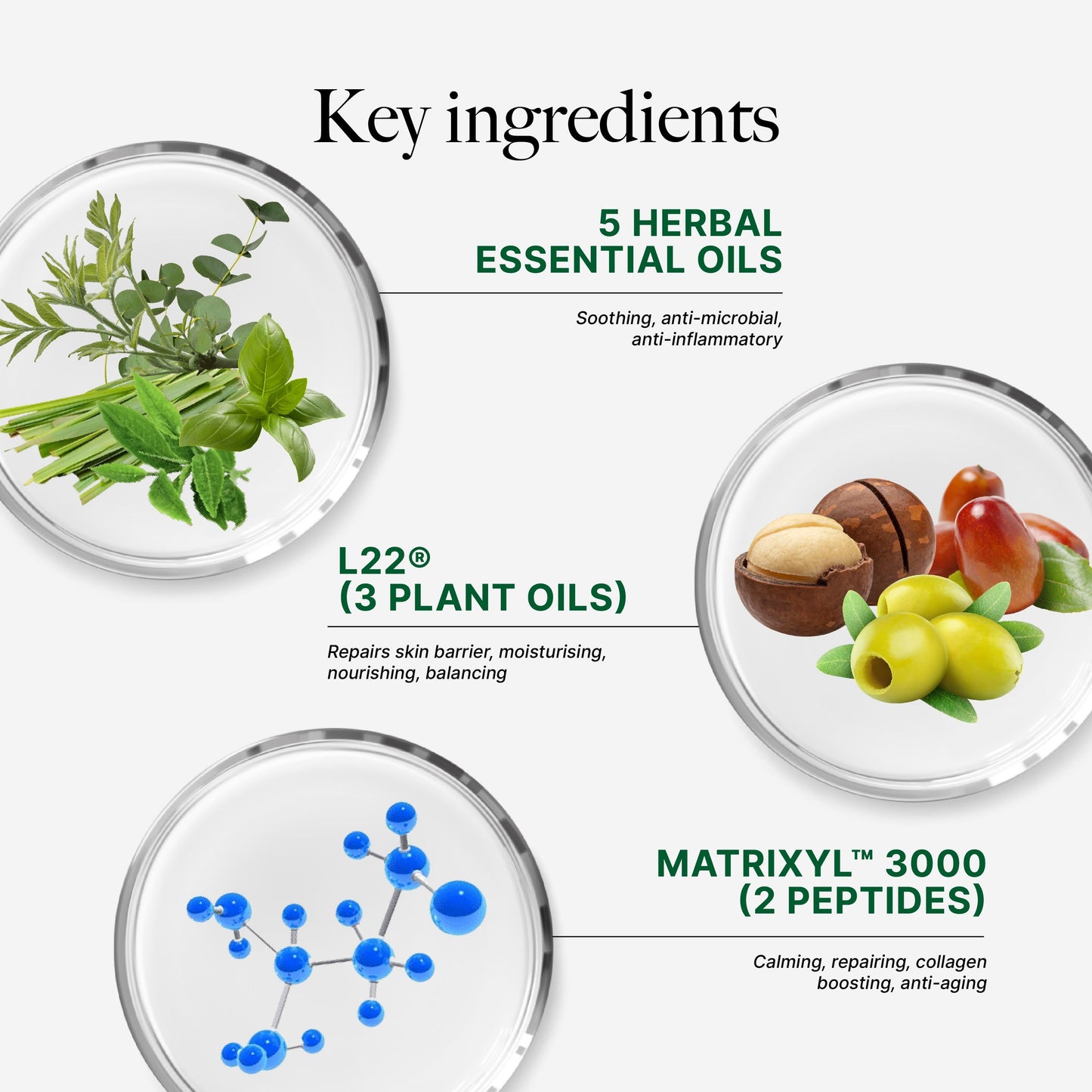 CLEF Multi-Herbal Repairing Overnight Mask 100g | Deep Repair | Soft & Smooth Skin